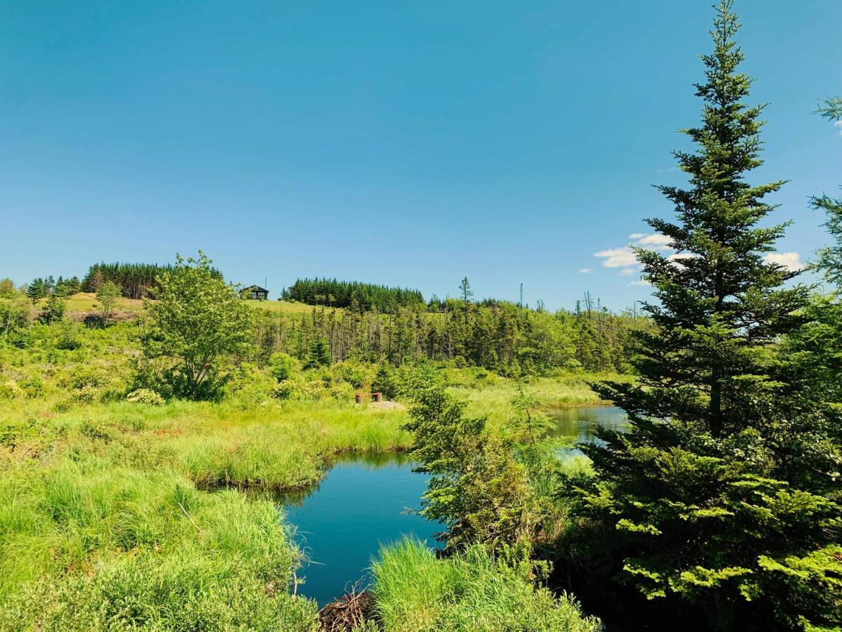 Eagle Valley *